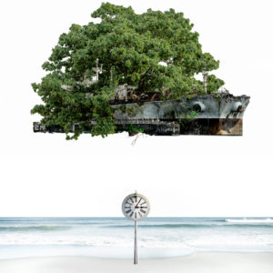 Kusumi Erika “Seaside of Catharsis / Big tree vessel” 2017